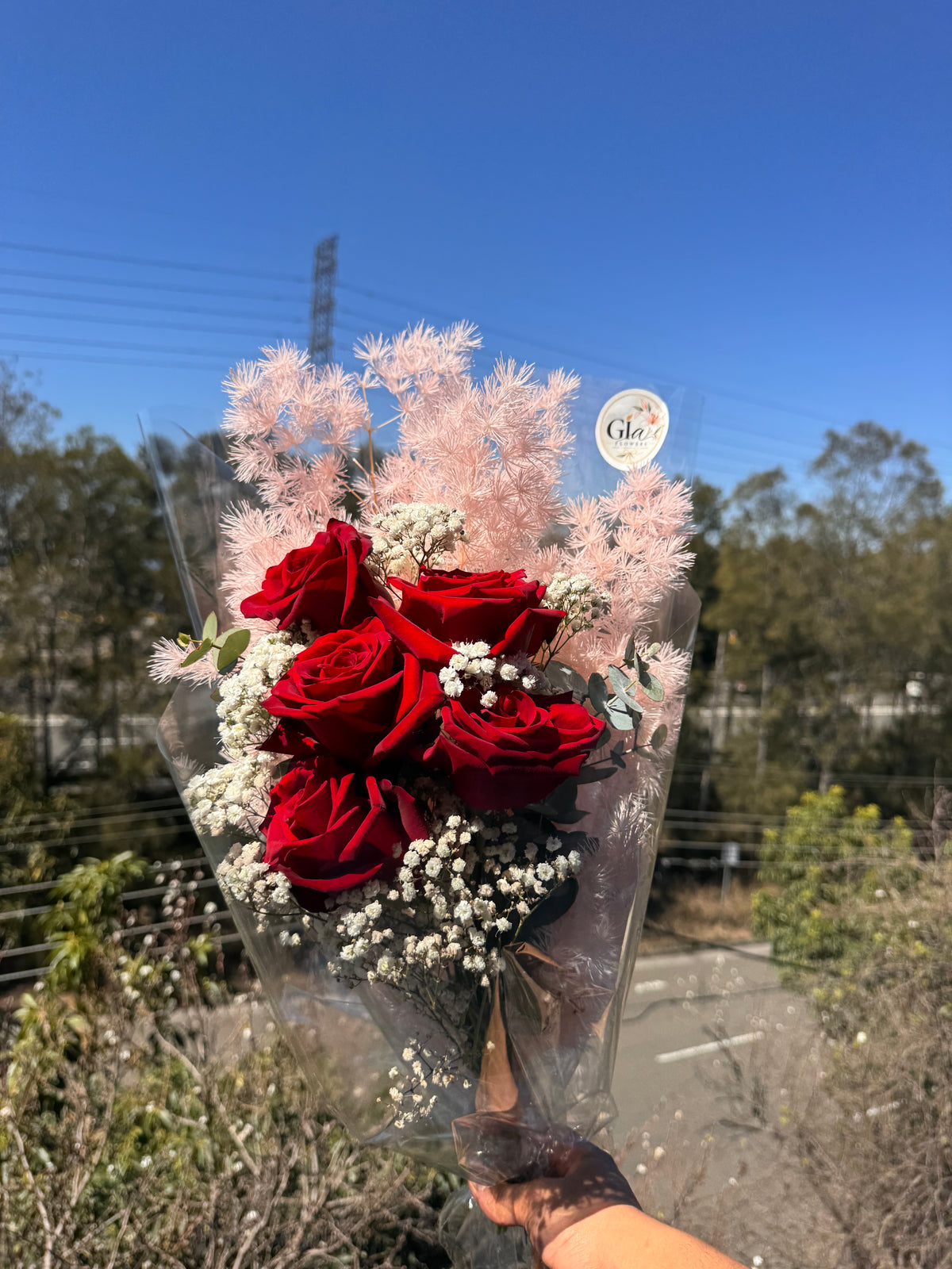 Red Rose Premium-5stem