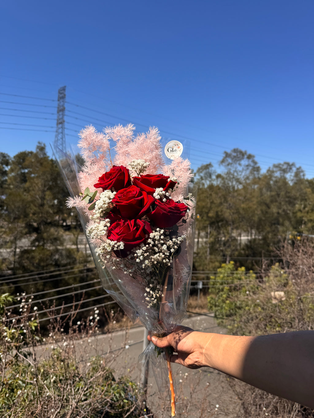 Red Rose Premium-5stem