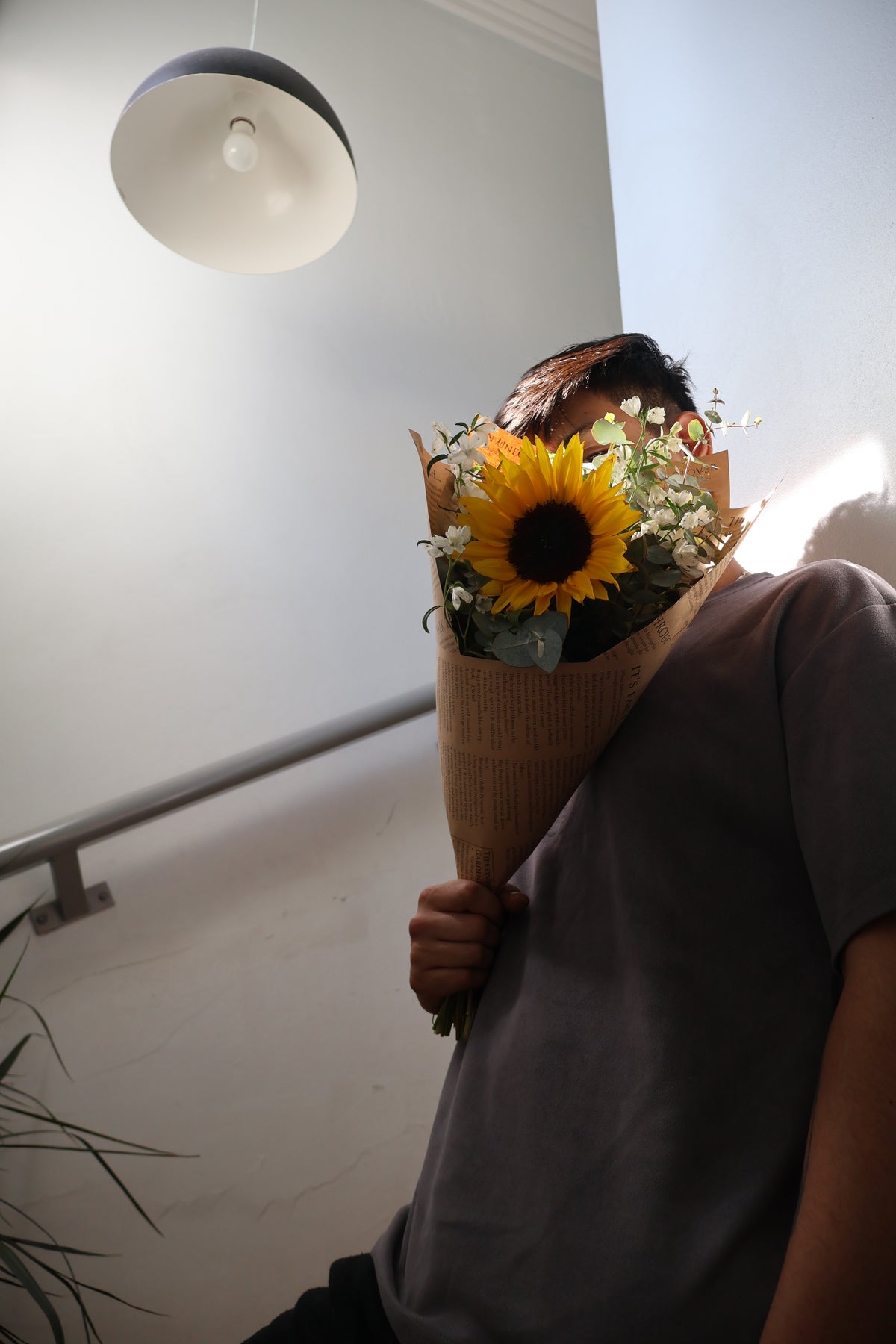 Sol