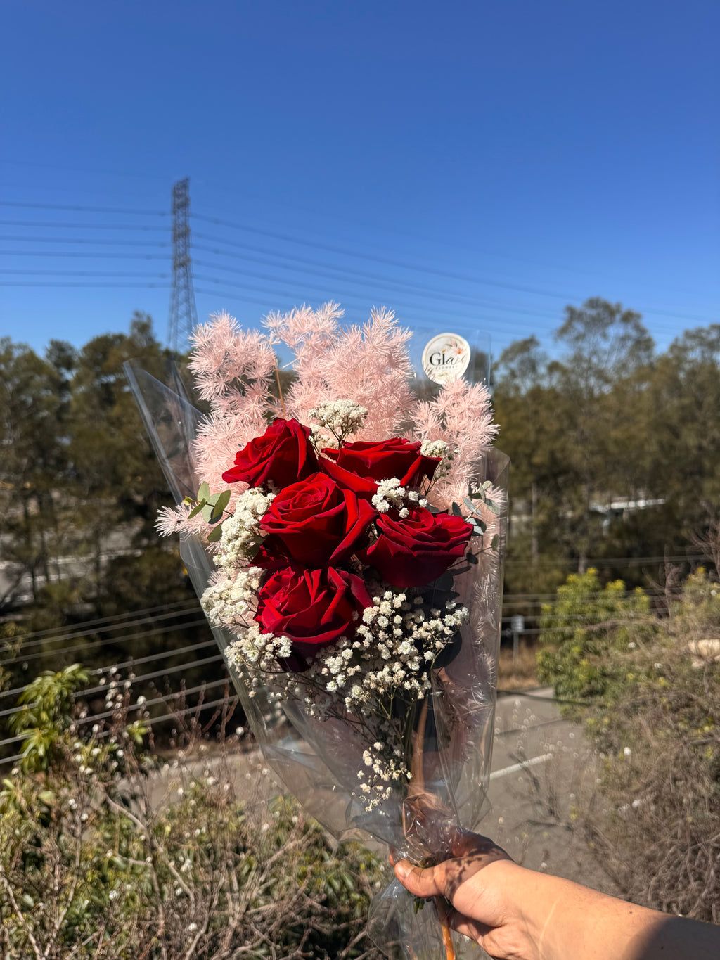 Red Rose Premium-5stem
