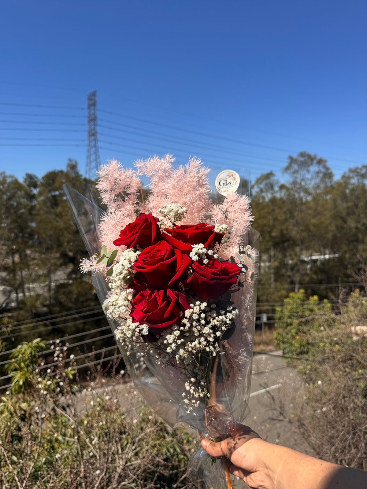 Red Rose Premium-5stem
