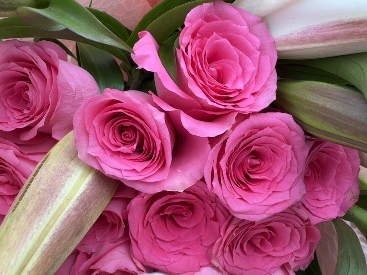 Pink Desire
