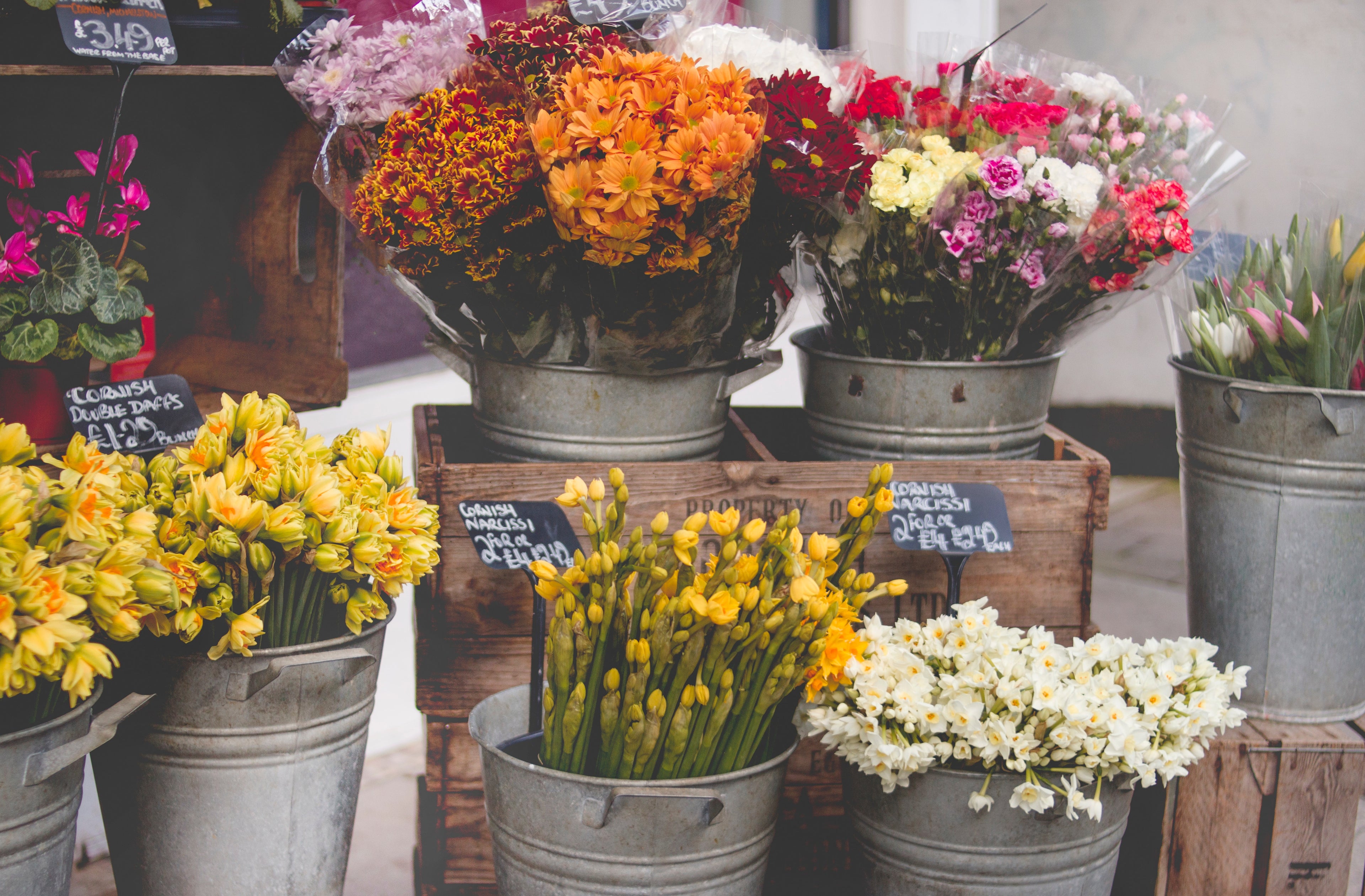 Individual Flower Bunches